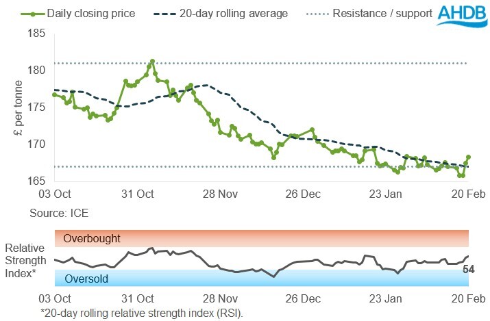 Line graph showing UK feed wheat futures prices, May-26 contract, over the past six months.